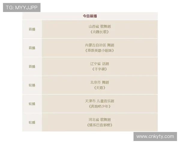 揭秘开云网址娱乐平台的运营背后，技术支持与团队介绍